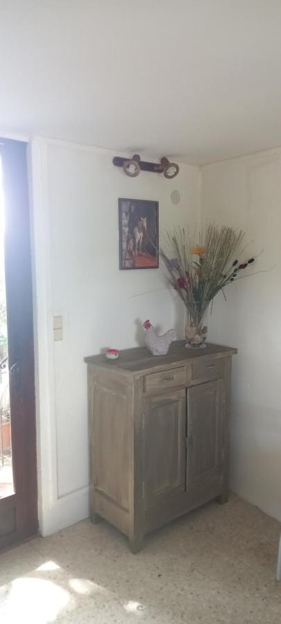 Petite Maison Dans La Campagne A 10 Mn A Pied Du Centre Ville Arles Eksteriør bilde