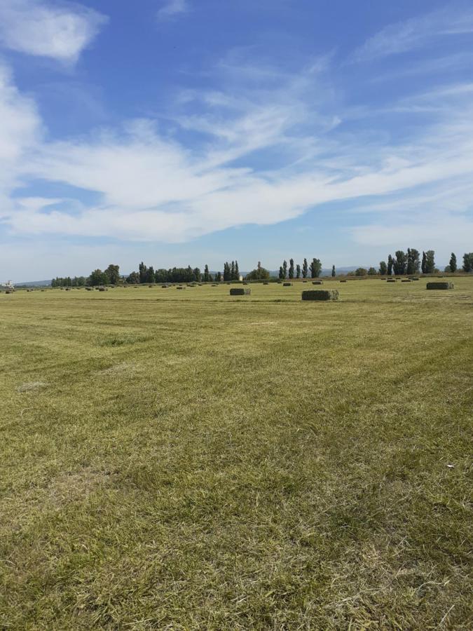 Petite Maison Dans La Campagne A 10 Mn A Pied Du Centre Ville Arles Eksteriør bilde